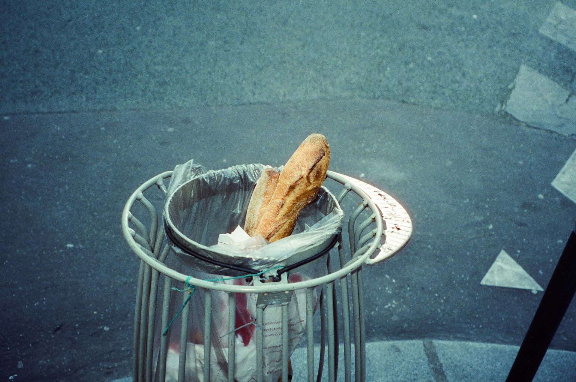 Changing Habits, Saving Food: Global Lessons in Behavior Change