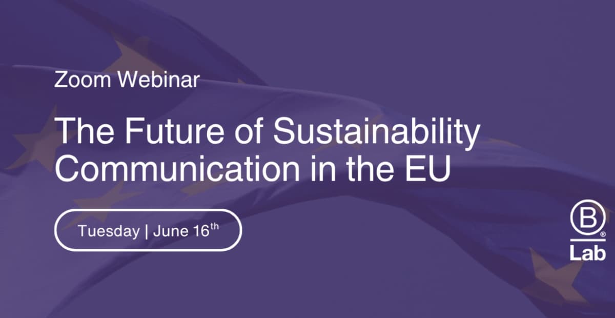 The Future of Sustainability Communication in the EU
