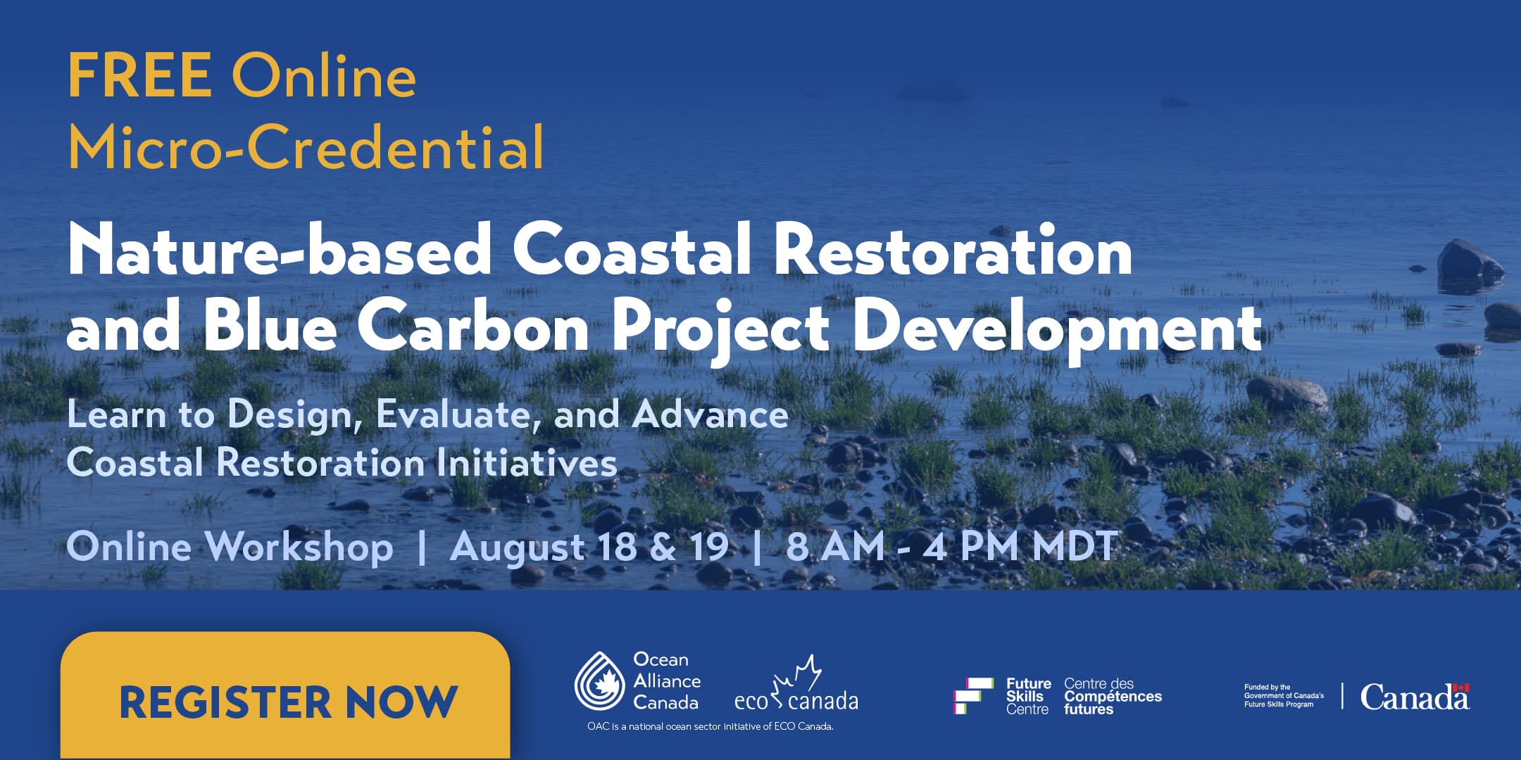 Nature-based Coastal Restoration and Blue Carbon