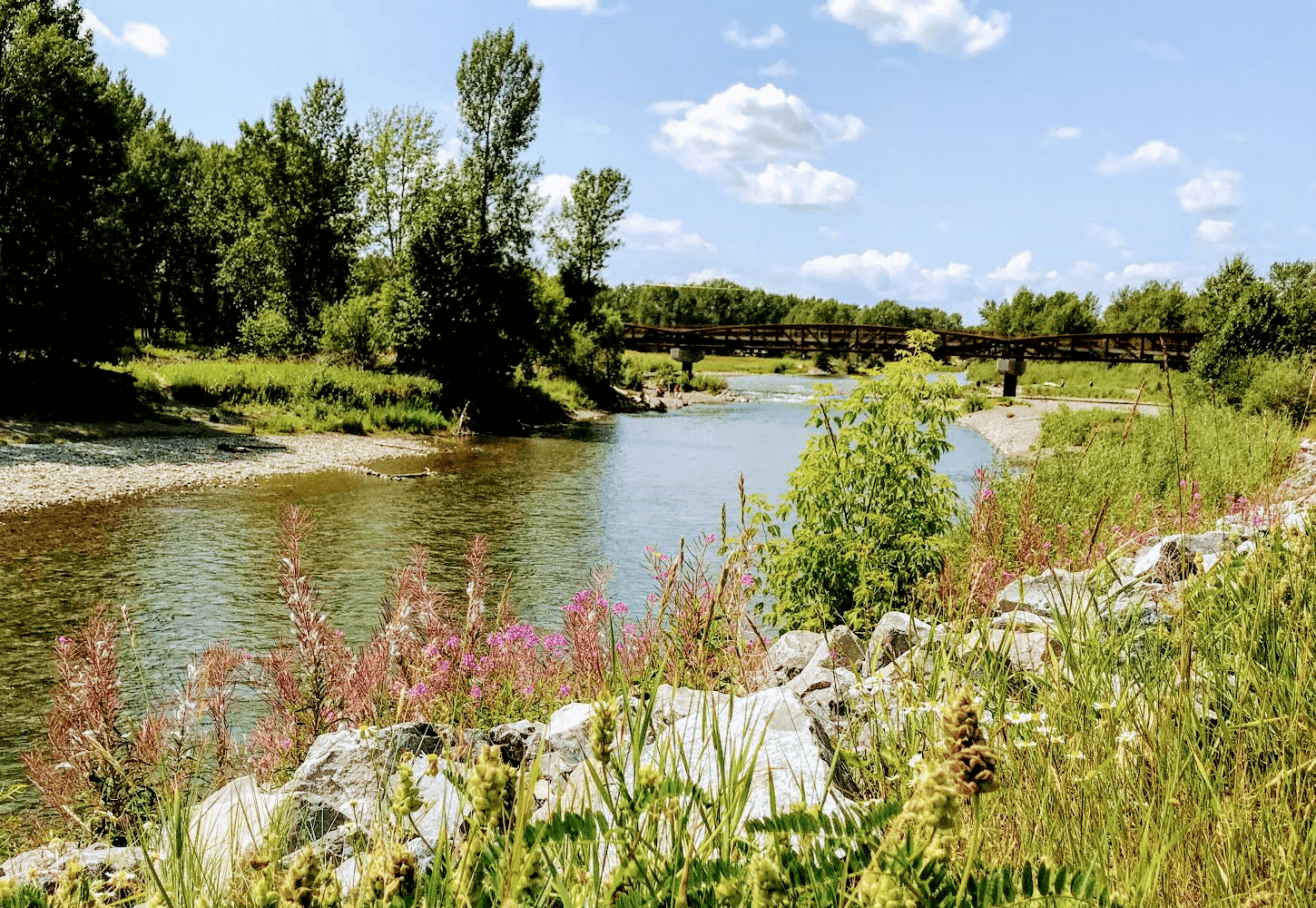 The Living Systems Summit: From Doughnuts to Deep Roots