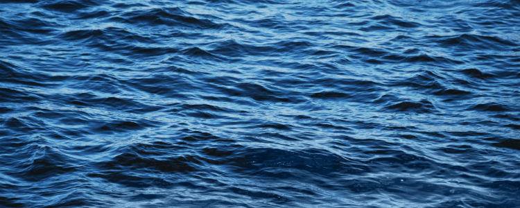 State & Future of Maritime Fuels in BC