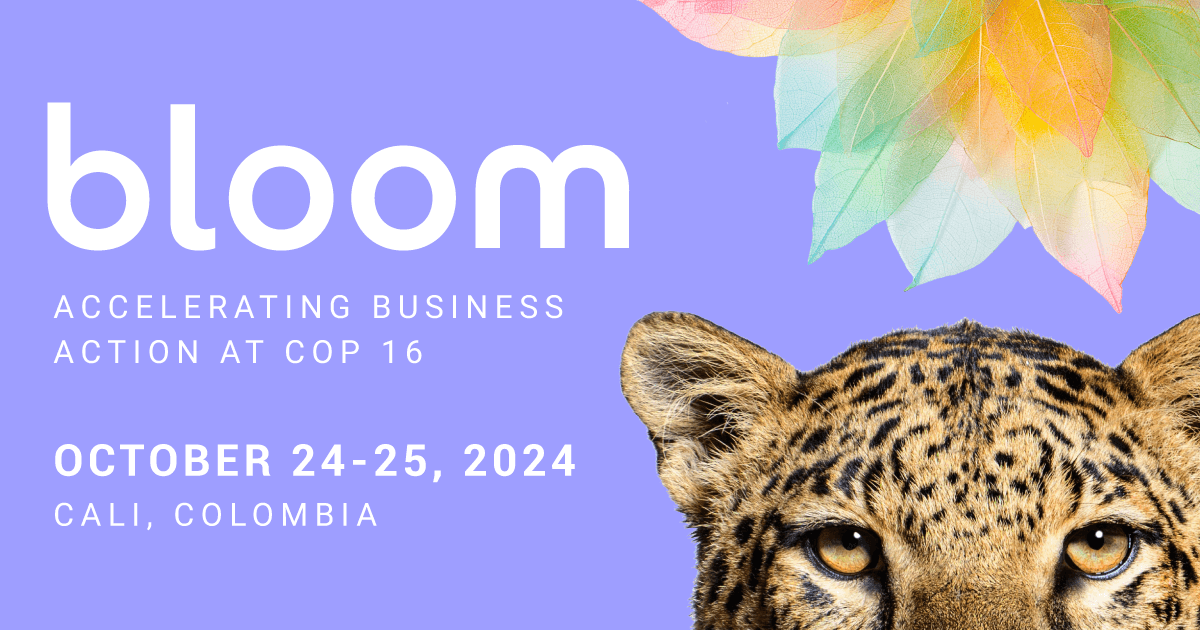 Bloom 24