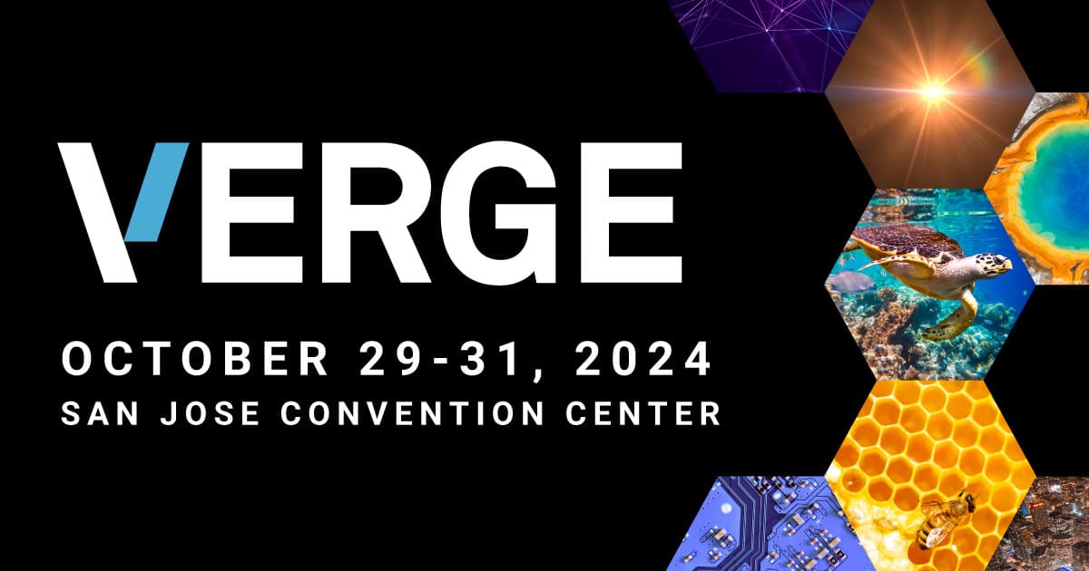 VERGE 24