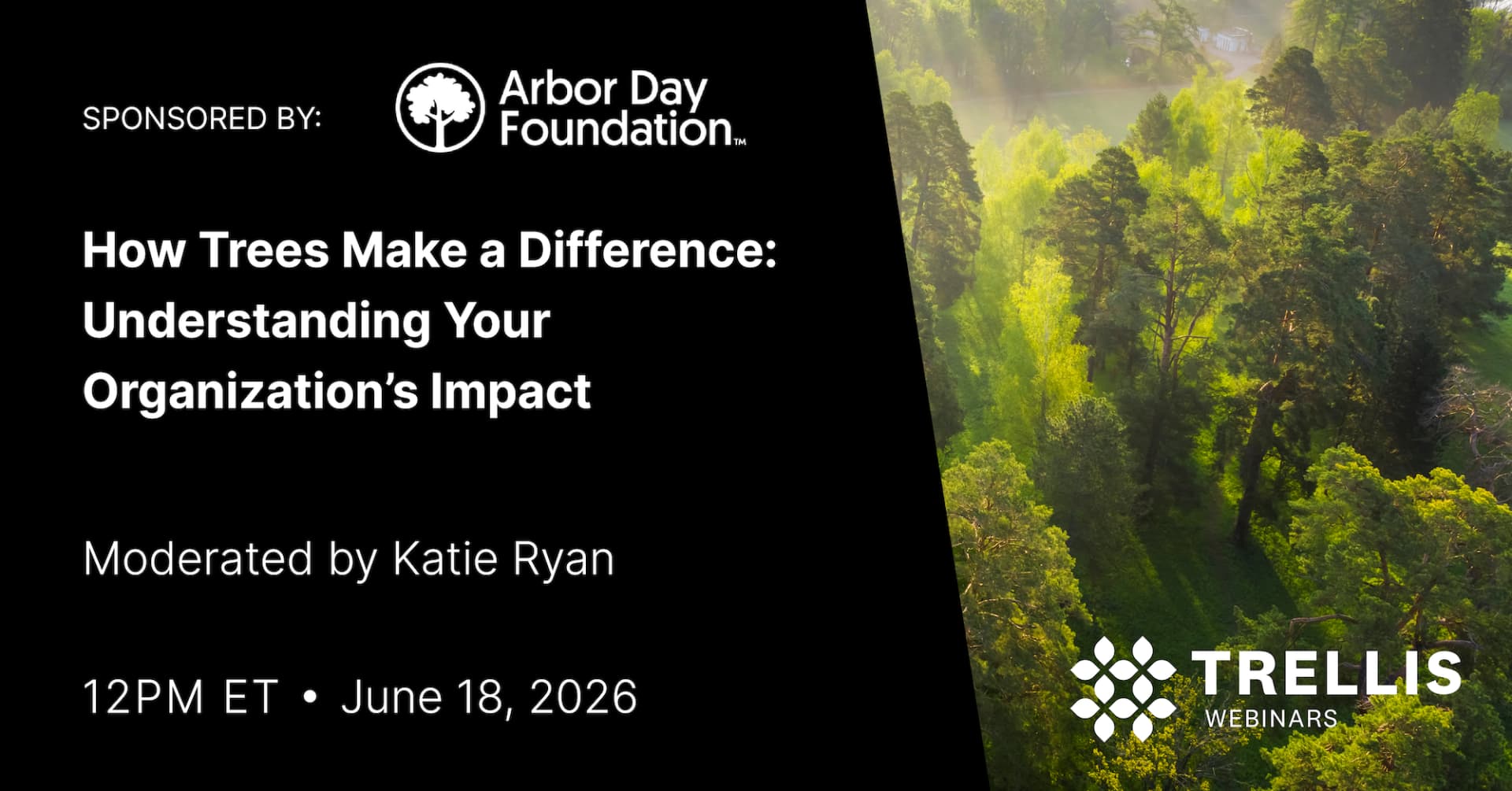 How Trees Make a Difference: Understanding Your Organization’s Impact