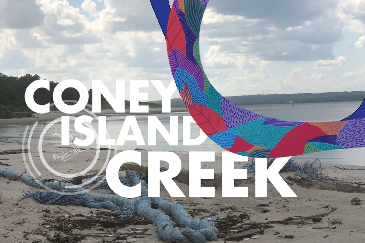 Sand Study Stewardship & International Coastal Clean-up Dance Party in Coney Island Creek