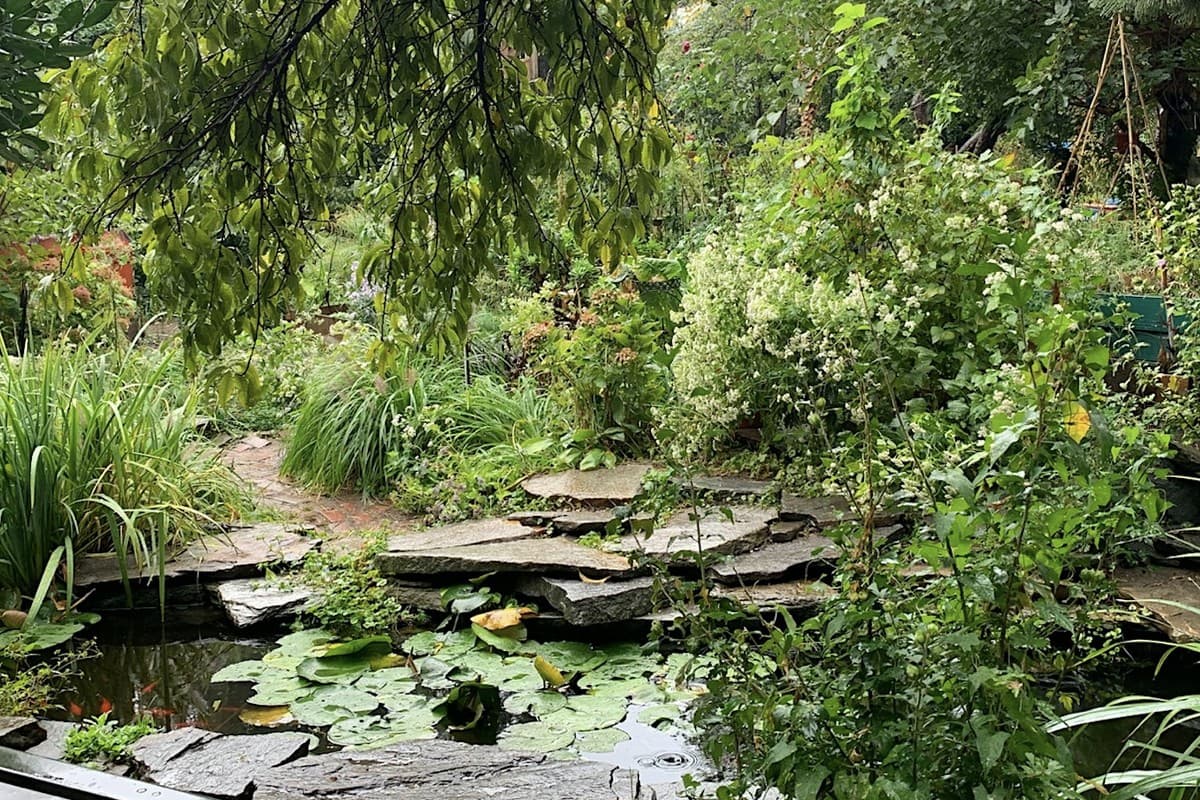 Day 2: Climate Innovation, Energy & Community Garden Tours with LUNGS