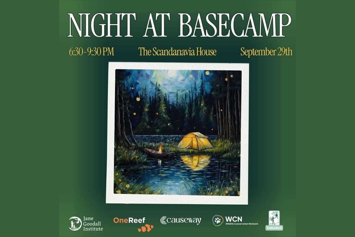 Night at Basecamp: An Evening of Conservation Storytelling